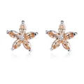 Boucles d'oreilles fleur à cinq pétales avec zircons champagne et base en métal argenté - Champagne