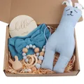 Newborn gift set with rabbit plush, bow headband, and pacifier clip in a kraft box - Blue