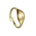 Minimalistischer vergoldeter Edelstahlring mit glatter, ovaler konvexer Oberfläche - Einfacher Ovaler Glänzender Stil (R660-02)