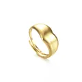 Minimalistischer 14K vergoldeter Edelstahlring mit dickem, abgerundetem Kuppeldesign - Minimalistischer Stromlinienförmiger Bogenstil (R681)