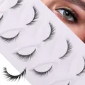 Five-pair pack of dramatic thick false eyelashes with natural curl and fiber texture - Daily Long Fan-shaped Style (HLY49)