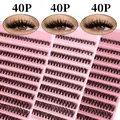 Detail showing 40P cluster eyelashes in pink tray with before and after wearing effect - Natural Standard Style (DIY-SET-361)
