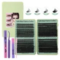 DIY eyelash extension kit with lashes, glue, remover, tweezers and spoolie brush - 50D-100D Mix With Purple Tools (DIY-JMS-074)