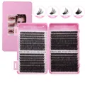 Kit d'extensions de cils DIY de 10-16mm avec des densités allant de 50D à 100D - Style Cils Segmentés Uniquement (DIY-JMS-092)