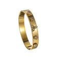 Gepolijste 18K goud roestvrijstalen armband met kralenrand en zirkoon inlegwerk - Goud Wit Ster Klaver Stijl (B1143-bai)