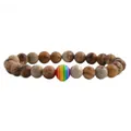8mm Natursteinarmband aus Jaspis mit einer bunten Regenbogen-Akzentperle für Stolz - Jaspis