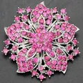Detailopname van een zilveren bloemenbroche met glinsterende roze strass-stenen - Roze