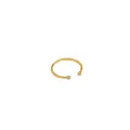 Minimalistischer S925 Sterlingsilber Goldring offen mit Zirkonia-Akzenten besetzt - JT414 Doppel-Zirkonia Gold / Größe 14/Verstellbar