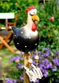 Close-up of decorative resin chicken garden ornament with big eyes and polka dot body - Premium Black