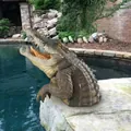 Realistic resin crocodile sculpture with open jaws, outdoor poolside garden decoration - Crocodile Style (B) / 20*12 / Dark Gray