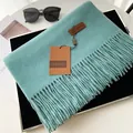 Solid cashmere-like scarf in light teal with tassels and premium leather brand tag - Haze Blue
