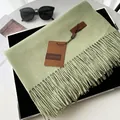 Solid light green faux cashmere scarf with fringes and minimalist leather tag - Iron Green