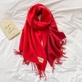 Detail of red cashmere-feel scarf with fine fringe tassels and beige brand woven label - Red