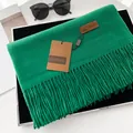 Vibrant green faux cashmere scarf with fringe details and classic leather brand tag - New Green