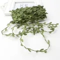 Detailansicht eines olivgrünen künstlichen Eukalyptus-Blattbandes auf einer weißen Karte - Kartenverpackung / 20 Meter