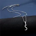 Macro detail of silver stainless steel S-letter pendant with lobster clasp and extension - Letter S