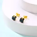 Détail de boucles d'oreilles en zircon noir carré avec serti à quatre griffes - Noir
