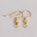 Pair of golden fish hook earrings with spring coil for DIY jewelry making crafts - Fishhook / 20x22mm (200 Pieces/Pack) / Gold