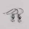 Silver-plated fish hook earrings with spiral spring and loop for DIY jewelry making - Fishhook / 20x22mm (200 Pieces/Pack) / Gunmetal