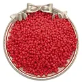 Levendige rode 3mm glazen rocailles met parelmoerglans voor DIY sieraden maken - Groot Materiaalpakket / Rood