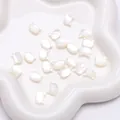 Natural white shell cat head shaped beads for handmade DIY jewelry crafting accessories - Cat Head