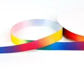 Regenbogenfarbenes Polyesterband auf Spule für DIY-Ohrringe und Accessoires - Spez D / Regenbogen