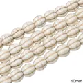 Perle in turchese bianco 10mm a forma di zucca per creazione di gioielli fai da te - Stile Perla Zucca (03款) / 10mm (1 Filo/Confezione, circa 40 pz) / Texture Bianca