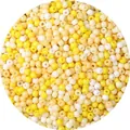 Mix van gele en crème glaskraaltjes in cirkelvorm voor doe-het-zelf sieraden - 3mm (Opening 0,8mm, 450g/Verpakking) / Geel Tinten Mix