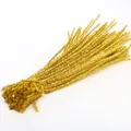 Close-up of bundled metallic gold chenille stems for DIY crafts and festive decorations - 5mm x 30cm / Light Gold (Glitter)