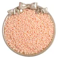 Peach orange matte glass seed beads for DIY jewelry making in a decorative silver tray - 2mm 20g/Pack (Approx. 1300 Pcs) / Pale Green