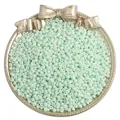 Mint green matte glass seed beads in a decorative silver tray for DIY jewelry - Light Green