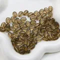Bruine acryl koffieboon kralen met gouden draad inleg voor DIY sieraden maken - Transparant Grijs Goud Omrand
