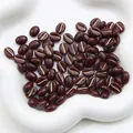 Acryl koffieboon kralen in bordeauxrood met gouden inlay voor DIY sieraden maken - Roodbruin Goud Omrand