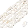 Cuentas de concha natural en forma de luna para joyería DIY, dijes blanco perla 10x7mm - Luna / 7x10mm (aprox. 40 unidades/38cm)
