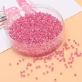 2,5mm Perlrosa Glasperlen in runder Aufbewahrungsbox für DIY-Schmuckherstellung - 2,5 mm (Öffnung 1 mm, 10 g/Packung) / Rosenrot