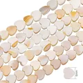 6mm heart-shaped natural freshwater shell beads with iridescent mother of pearl finish - Vertical Hole Heart / 6mm (Approx 66 Pcs/38cm)