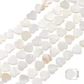 Cuentas de concha natural de 10 mm en forma de corazón con brillo de nácar iridiscente - Corazón de Agujero Horizontal / 10mm (aprox. 38 unidades/38cm)