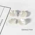 Pétales de nacre ABS 15x17mm blancs pour la création de bijoux floraux DIY artisanaux - Sac Standard / Petit Beige (15mmx17mm)