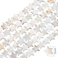 Cuentas de nácar natural en forma de estrella para joyería artesanal 15mm - Estrella de cinco puntas / 15mm (aprox. 27 unidades/38cm)