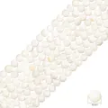 Sartas de cuentas de nácar natural blanco redondo de 4mm para creación de joyas - Cuentas redondas / 4mm (aprox. 94 unidades/38cm)