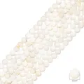 Sarta de cuentas redondas de concha natural blanca de 6mm para crear joyería DIY - Cuentas redondas / 6mm (aprox. 65 unidades/38cm)