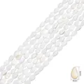 Cuentas de concha natural blanca en forma de gota de 6x4mm para creación de bisutería - Teardrop / 4x6mm (aprox. 60 unidades/38cm)