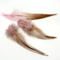 Drie lange natuurlijke veren met verloop in roze en bruin voor DIY-sieraden - 100 Stuks/Verpakking (10-15cm) / Roze