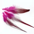 Lange paarse kleurverloop veren voor DIY sieraden maken en ambachtelijke accessoires - 100 Stuks/Verpakking (10-15cm) / Rozerood