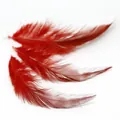 Accessoire boucle d'oreille DIY avec plumes naturelles rouges pour bijoux artisanaux - 100 Pièces/Paquet (10-15cm) / Rouge