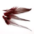 Trois longues plumes bordeaux pour la création de boucles d'oreilles et accessoires - 100 Pièces/Paquet (10-15cm) / Bordeaux