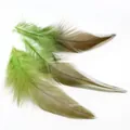 Trois plumes naturelles dégradées vert et marron pour la création de bijoux DIY et artisanat - 100 Pièces/Paquet (10-15cm) / Vert olive