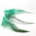 Trois plumes naturelles vert émeraude pour la création de bijoux DIY et artisanat - 100 Pièces/Paquet (10-15cm) / Vert