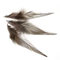 Trois longues plumes naturelles dégradées brun et gris pour création de bijoux DIY - 100 Pièces/Paquet (10-15cm) / Café