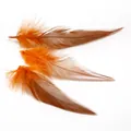 Plumes naturelles longues pour bijoux DIY en dégradé de couleurs orange et marron - 100 Pièces/Paquet (10-15cm) / Orange